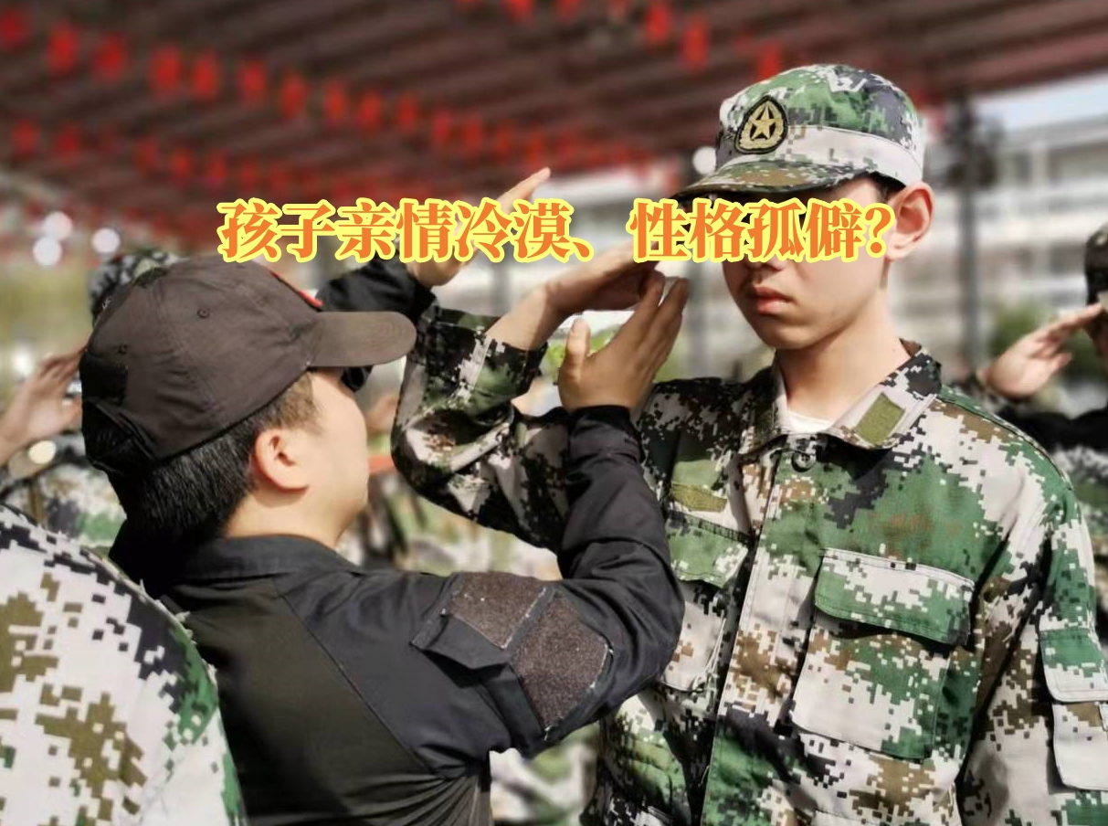問題青少年教育學(xué)校,青少年教育學(xué)校