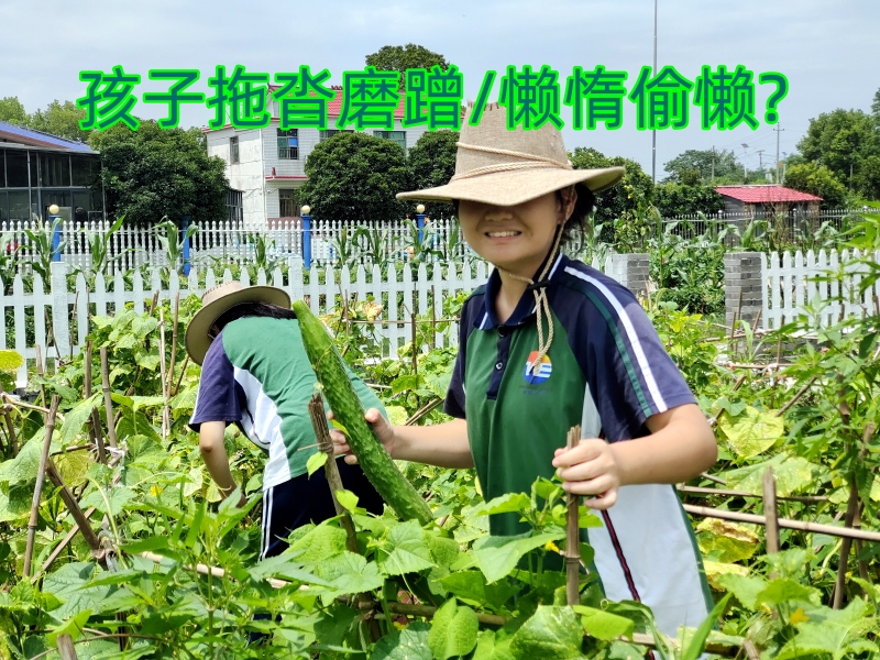 軍事訓練學校,封閉式軍事化學校