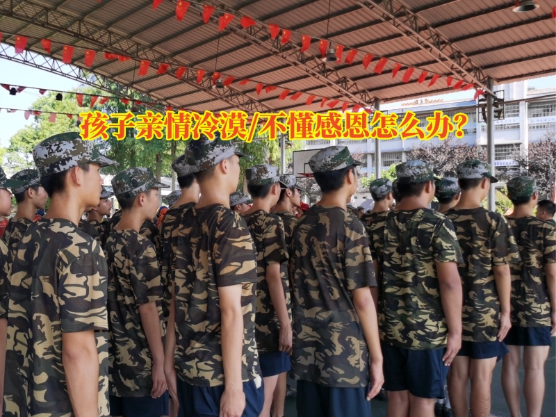 情感缺失孩子學(xué)校,感恩教育學(xué)校