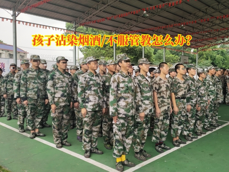 戒除煙酒學(xué)校,專門(mén)學(xué)校