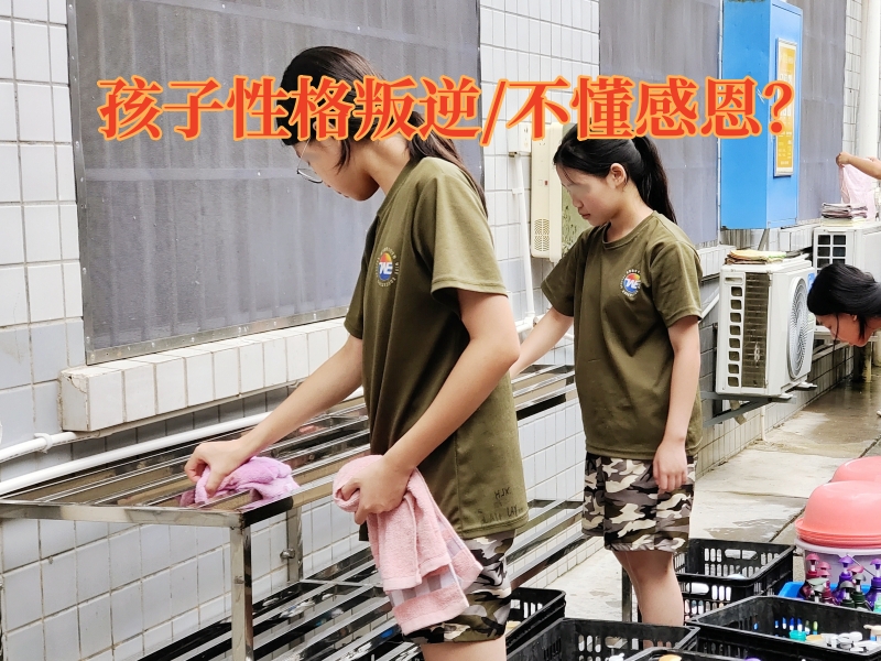 全封閉學校,青少年特訓學校