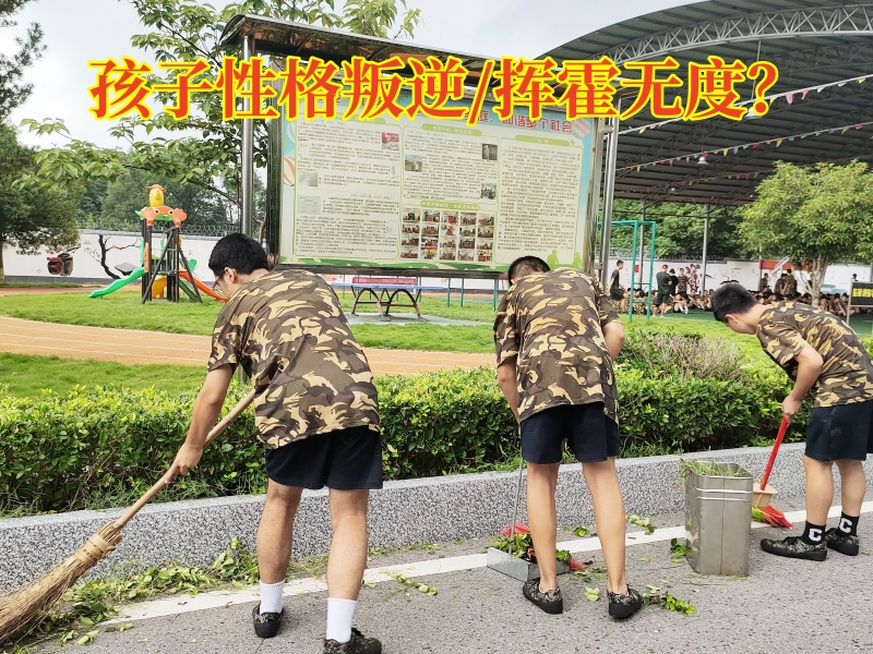 封閉式軍事化學(xué)校,軍事訓(xùn)練學(xué)校