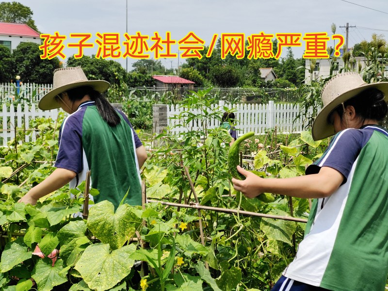 戒網癮學校,戒網癮教育學校