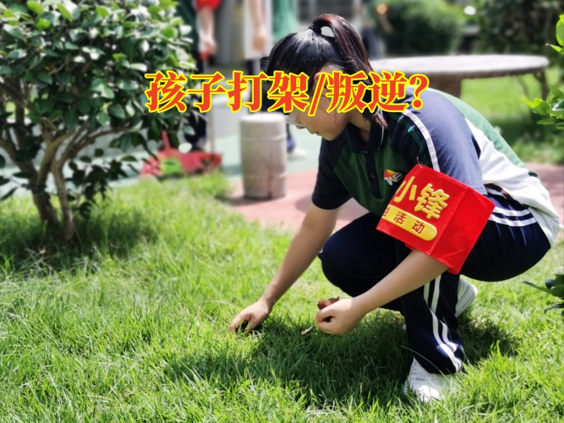 叛逆孩子學(xué)校,叛逆教育學(xué)校