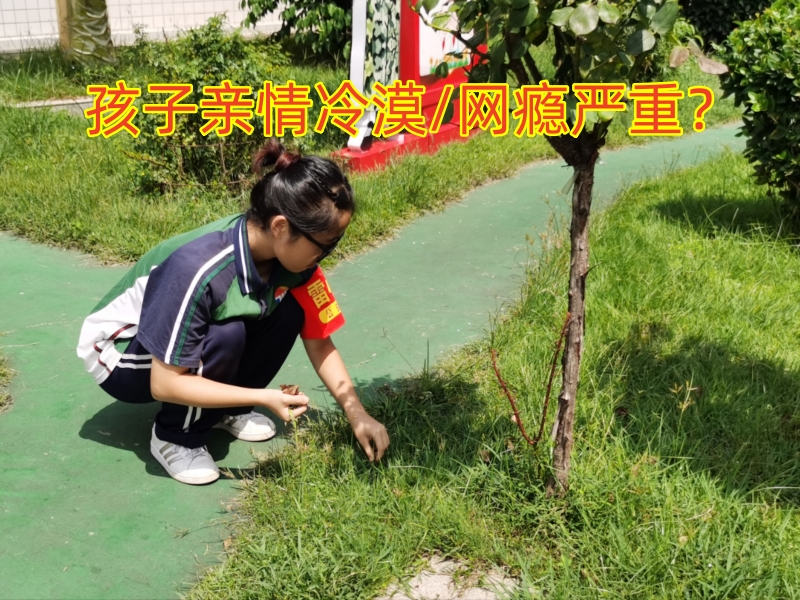 戒網(wǎng)癮學校,戒網(wǎng)癮教育學校