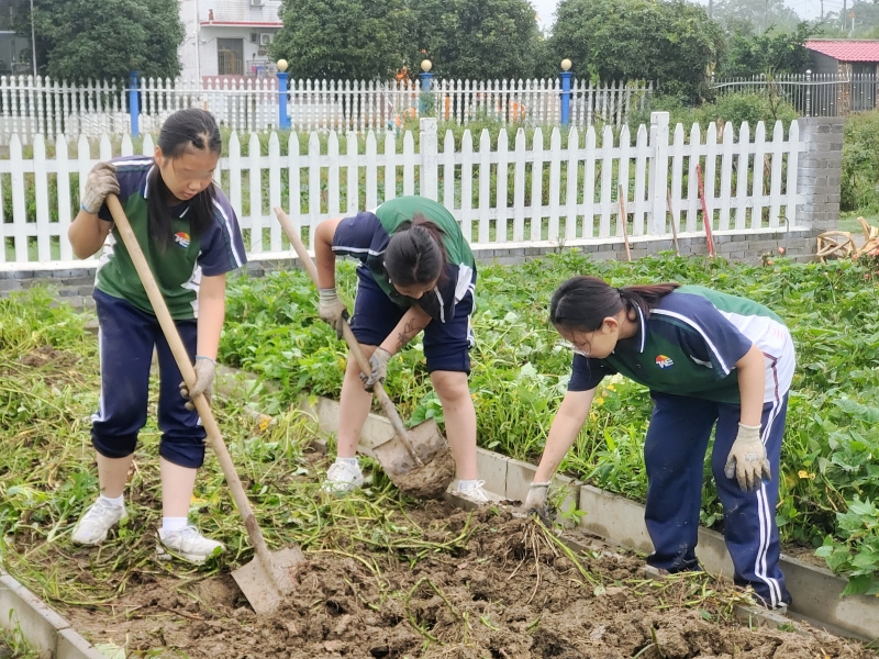 新起點教育專門學校,新起點青少年特訓學校