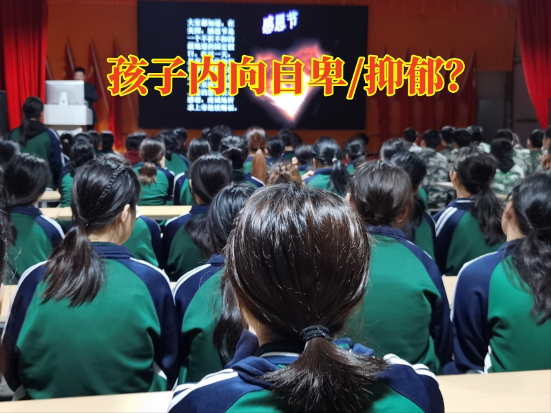 心理輔導(dǎo)學(xué)校,心理問題孩子學(xué)校