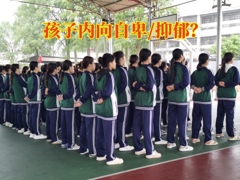 心理輔導(dǎo)學(xué)校,心理問(wèn)題孩子學(xué)校