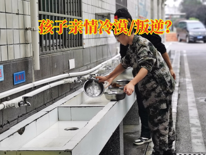 青少年特訓學校,特訓學校