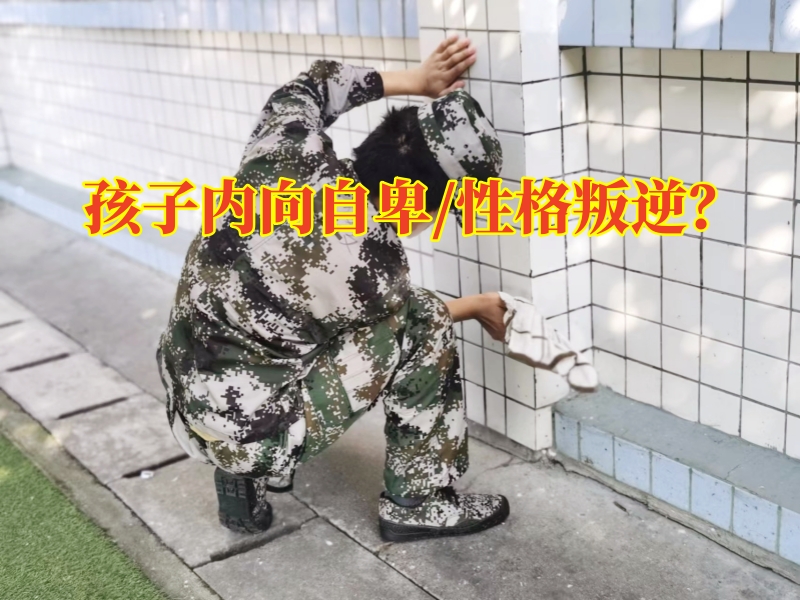 心理輔導(dǎo)學(xué)校,心理問(wèn)題孩子學(xué)校