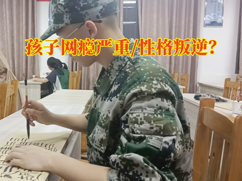 正規(guī)網(wǎng)癮戒除教育學(xué)校