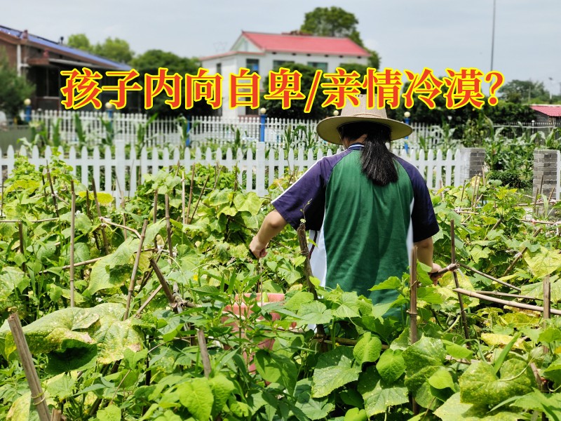 孩子心理疏導(dǎo)學(xué)校：如何拯救內(nèi)向的孩子？