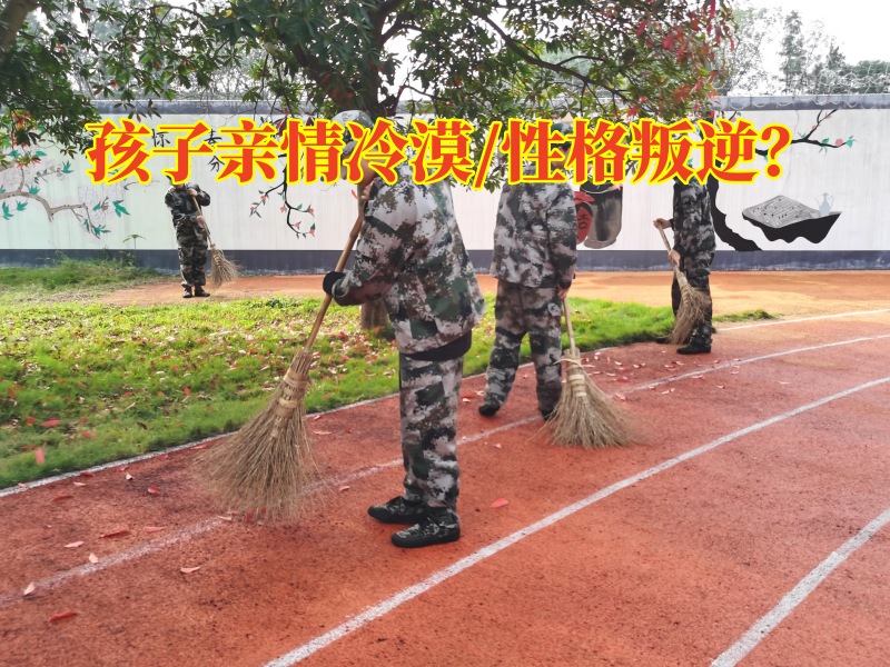 青少年學(xué)校對孩子親情冷漠的素質(zhì)教育，青少年學(xué)校