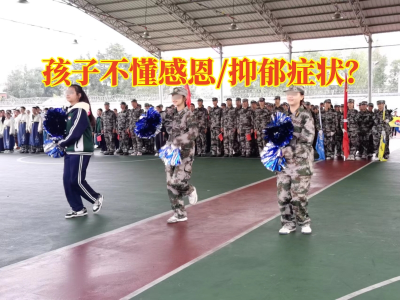  最好的教育問題孩子的學校對孩子不懂感恩的建議