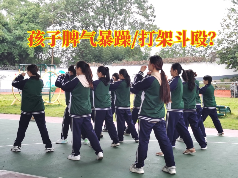最好的青少年叛逆教育學(xué)校針對(duì)孩子暴躁的三點(diǎn)對(duì)策