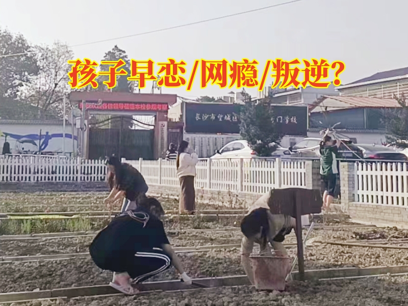 學生早戀學校矯正孩子早戀問題，學生早戀學校