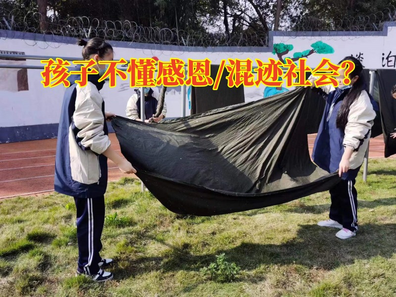 正規(guī)勵志教育學(xué)校：孩子長大后為何不懂得感恩？