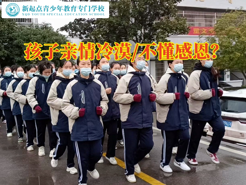 專門(mén)教育不聽(tīng)話孩子學(xué)校建議這樣引導(dǎo)親情冷漠的孩子