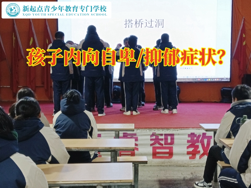 內(nèi)向自卑，勵志教育學校教家長這樣應對孩子內(nèi)向
