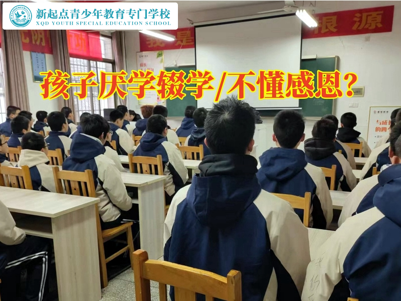 正規封閉式管教學校建議這樣教育不愛寫作業的孩子，正規封閉式管教學校