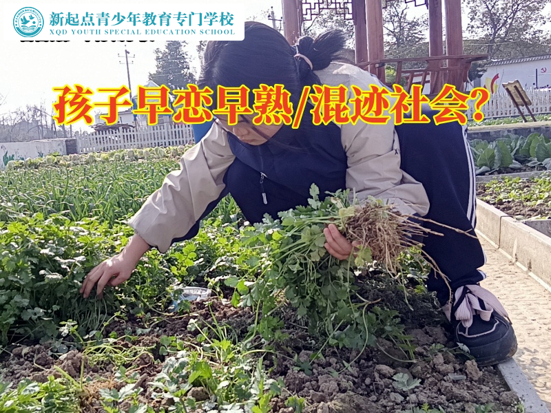 邵陽孩子管教學(xué)校教您這樣處理孩子網(wǎng)戀問題