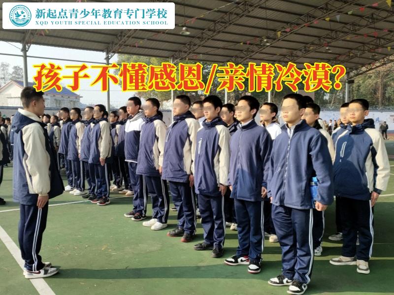 感恩教育學(xué)校如何教育不懂感恩的孩子，感恩教育學(xué)弟小