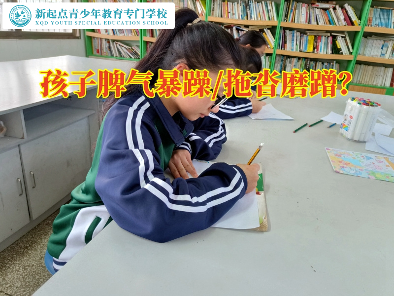 青少年叛逆正規(guī)封閉學(xué)校教育脾氣暴躁的孩子