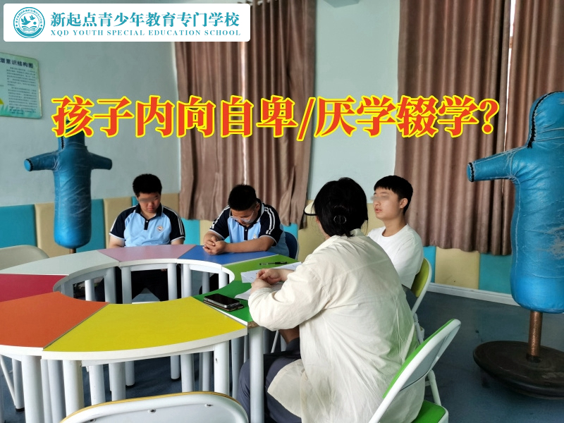 青少年封閉特訓(xùn)學(xué)校分析導(dǎo)致孩子變得自卑的影響因素