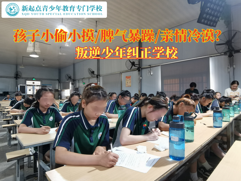 叛逆少年糾正學(xué)校教育孩子做正直的人