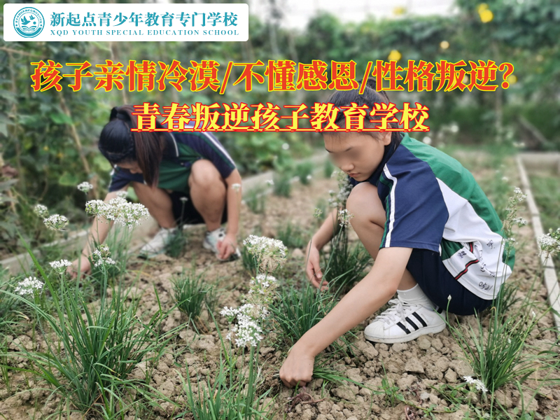 青春叛逆孩子教育學(xué)校教孩子不要對親人冷漠