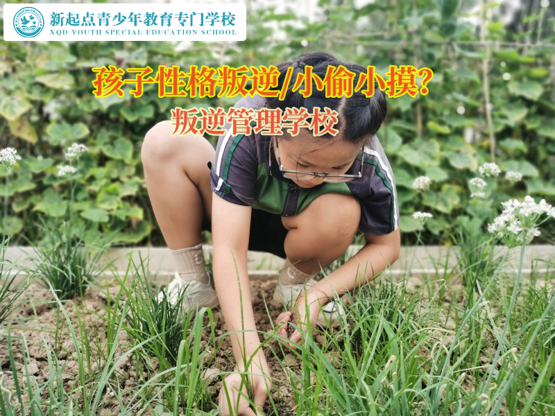 叛逆管理學(xué)校矯正孩子偷盜行為
