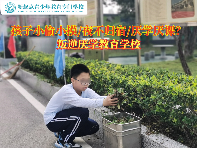 叛逆厭學(xué)教育學(xué)校改變青少年小偷小摸