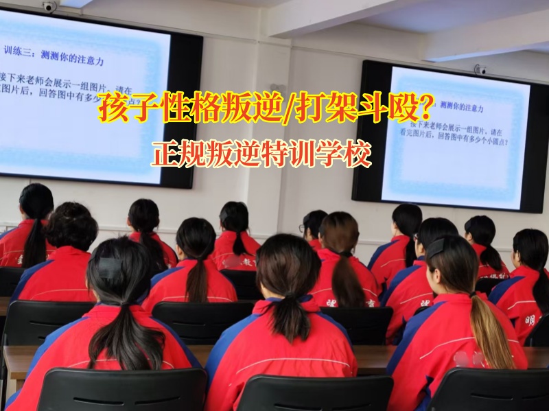 正規(guī)叛逆特訓學校教育青少年勿要打架斗毆