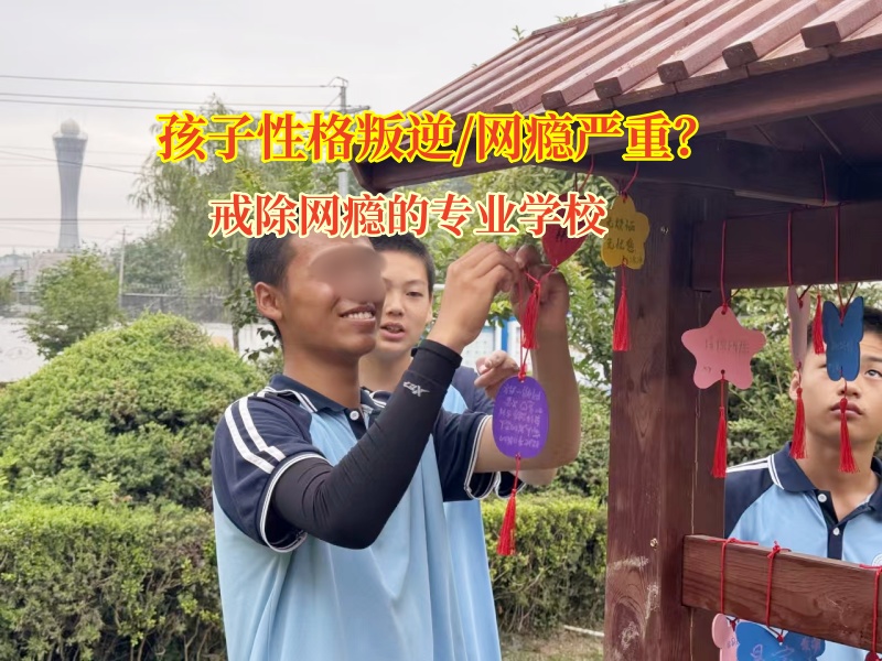 戒除網癮的專業(yè)學校矯正初中女孩迷戀網絡小說