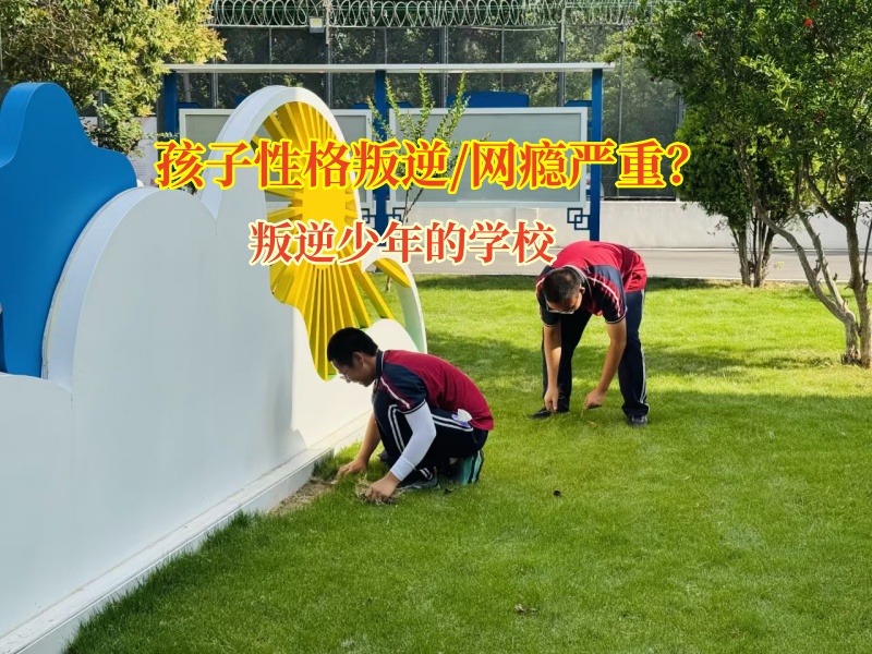 叛逆少年的學(xué)校化解孩子攀比心理