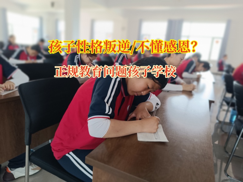 正規(guī)教育問題孩子學(xué)校為孩子種下感恩的種子