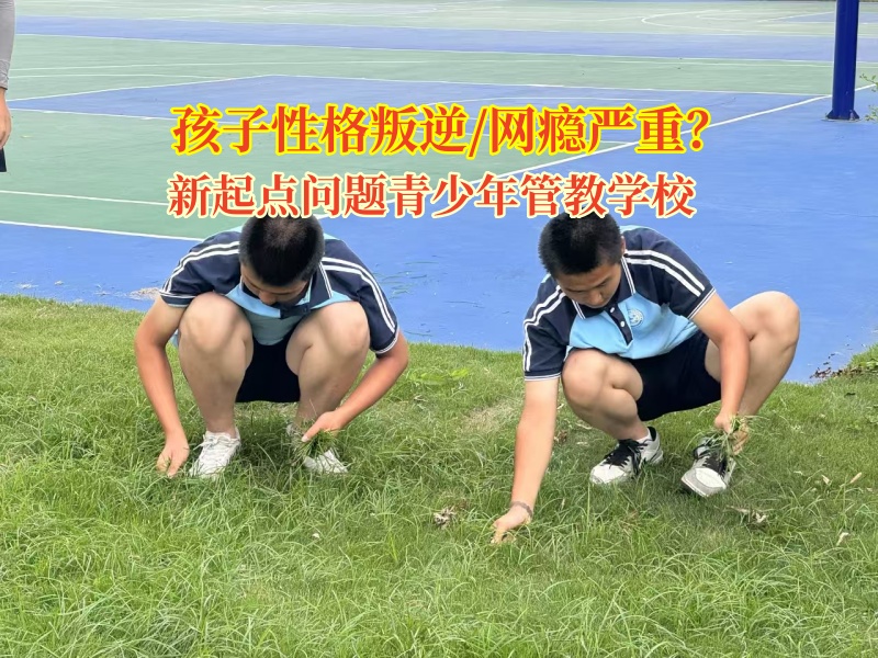 新起點問題青少年管教學校幫孩子戒網癮