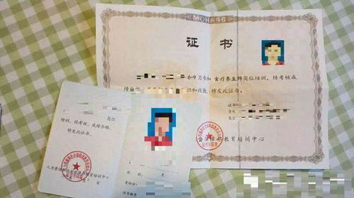 人力資源和勞動社會保障部教育培訓中心與廣東省職業技能鑒定指導中心的培訓哪個證書更好