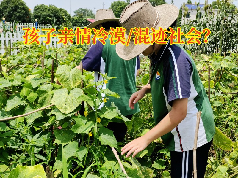 湖南正規(guī)叛逆學(xué)校：如何讓親情冷漠的孩子親情回溫？